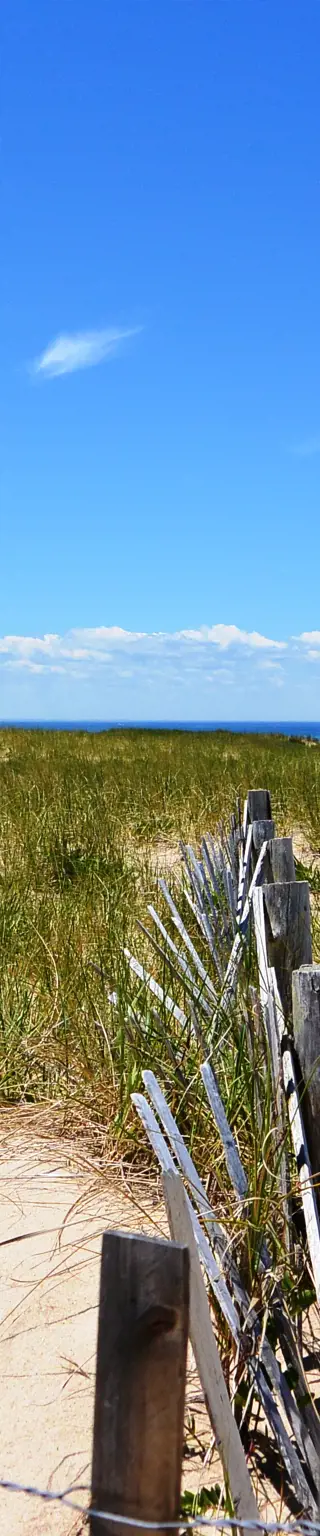 Befahre den Fischerort Provincetown aus eigener Kraft